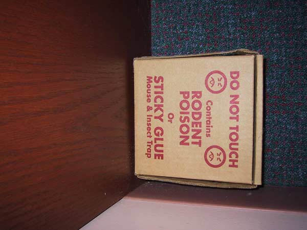 [They may have also had mice, but we didn't see any. <P>I started to notice that the libraries all had DVDs, sort of new ones, <b>in stock</b>. This led me to think that maybe either 1) people don't use the library much in Milwaukee or 2) people in Milwaukee don't yet have DVD players.
]