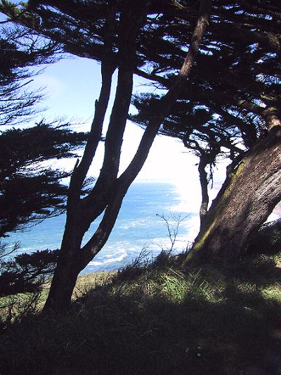 [Another view of the Pacific Ocean before we scooted back into the warmth of the car.
]